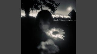 an eater (slower) - bradybean