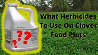 What Herbicides to Use on Clover Food Plots