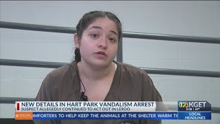 Woman who removed Hart Park flag kicked deputy after arrest: reports