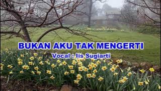 Iis Sugiarti - Bukan aku tak mengerti