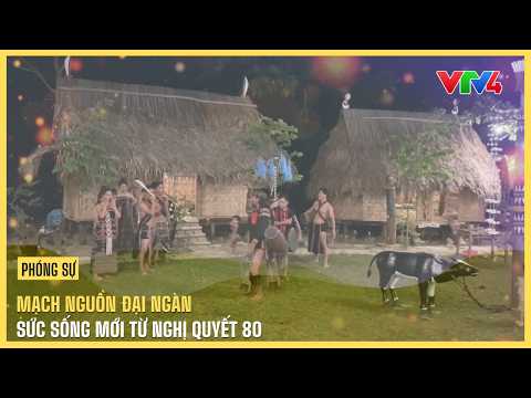 The Source of the Great Forest - New Vitality from Resolution 80 | VTV4