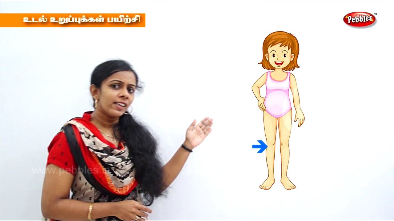 Learn Human body | Parts for the body for kids in Tamil | Preschool Learning | உடல் உறுப்புகள் ...