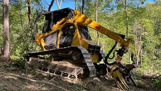 Bell Ultra T Track Feller Buncher cutting and topping hardwood timber Resimi