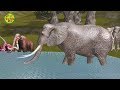 เพลงช้าง ช้าง ช้าง น้องเคยเห็นช้างหรือเปล่า | เพลงเด็กในตำนาน | Thai Elephant Song