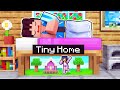 My TINY Home Under My Minecraft BED!