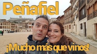 PEÑAFIEL, much more than wines!