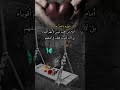 ننهزم دائمآ أمام من نحب ليس لأنهم أقوياء بل لأن قلوبنا تقف في صفهم