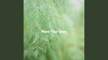 High Class Thoughtful Vibes