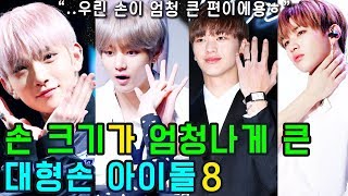 (ENG SUB) [K-POP NEWS] Who are the 8 KPOP IDOLs with big hands?