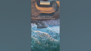 أَمْ حَسِبْتُمْ أَن تَدْخُلُوا الْجَنَّةَ... سورة البقرة الآية 214 القارئ وديع اليمني