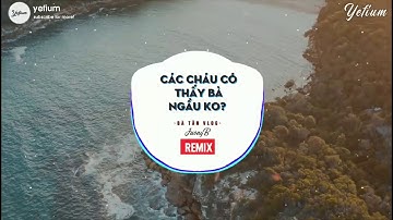 CÁC CHÁU CÓ THẤY BÀ NGẦU KHÔNG REMIX   BÀ TÂN VLOG X JUONGB   BẢN MIX CỰC MẠNH