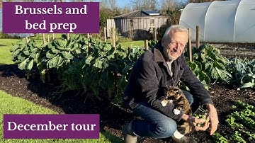 December No-Dig Garden Tour: Winter Harvest & Frost-Hardy Crops