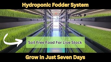 Smart Hydroponic Fodder System For Cows Goats and etc.| Smart Invention | Automatic Fodder System