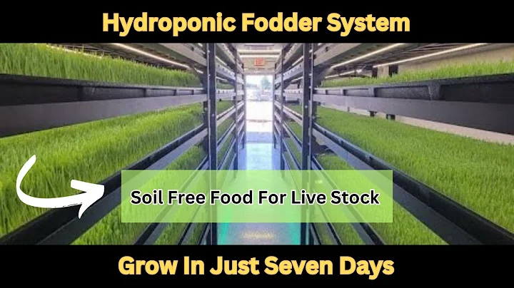 Smart Hydroponic Fodder System For Cows Goats and etc.| Smart Invention | Automatic Fodder System