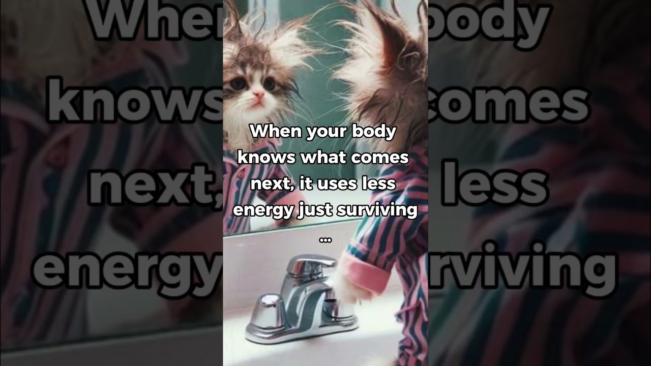 Why your body craves routine 📝🤯