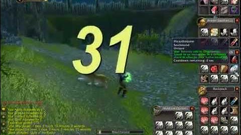 Joana - Level 30 Arathi Highlands - Vanilla WoW 1-60 Speed Run