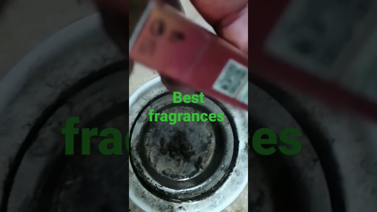 Best Fragrance #shorts #youtubeshorts
