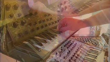 Butterflies | Korg MS-20 and Polysix | Moog Matriarch | Solo Fantasia | Live Studio Performance