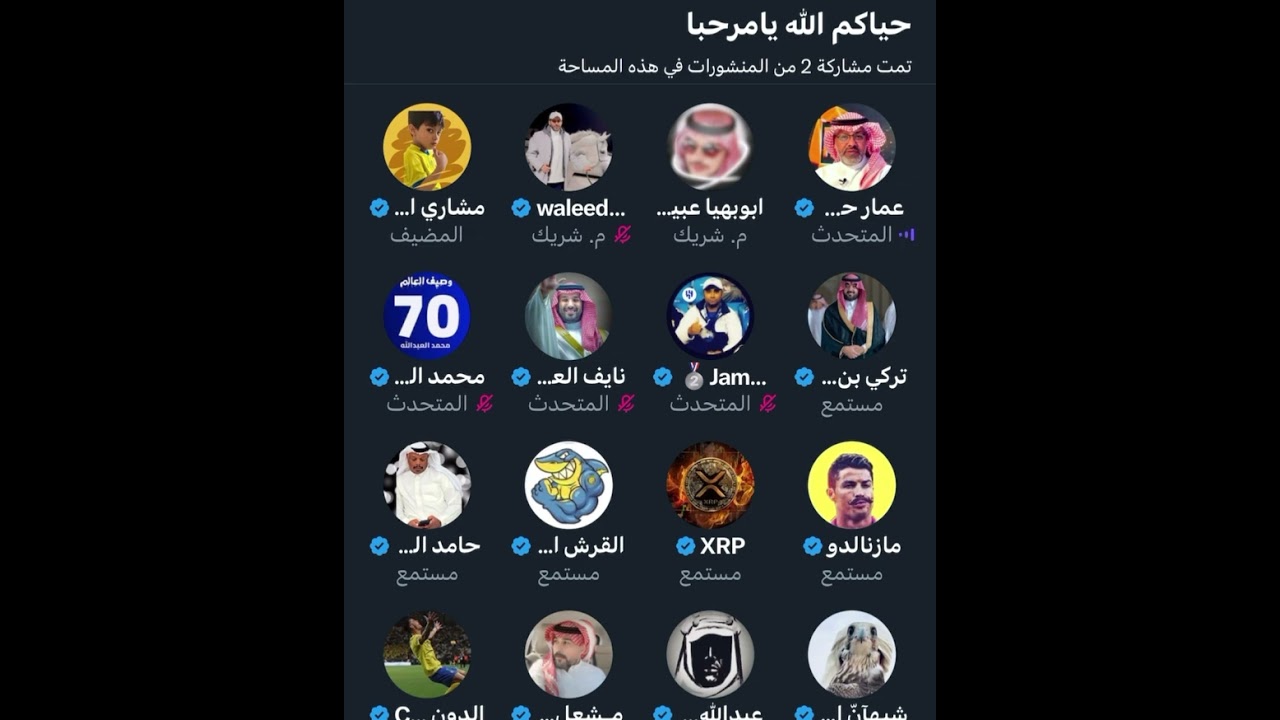 مقتطفات من مساحة مشاري 