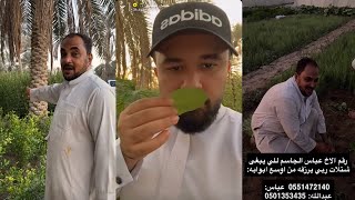 حسين البقشي في مزرعة عباس الجاسم | علي الشهابي | سنابات بوحسين الحساوي