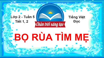BỌ RÙA TÌM MẸ (Tiết 1,2) | Tuần 5 | Tập Đọc | Tiếng Việt Lớp 2 Chân Trời Sáng Tạo