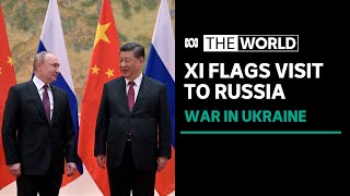 Xi Jinping considers visiting Russia as anniversary of Ukraine invasion looms | The World