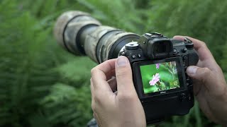 BADGERS AND MACRO PHOTOGRAPHY | Bts: photo blind as scent blocker