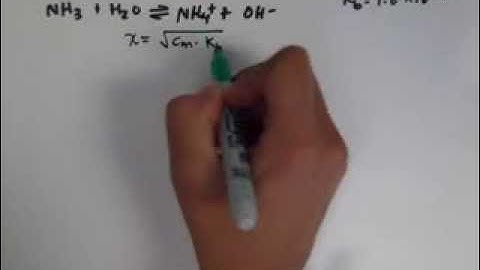 pH of an Ammonia Solution
