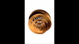 3D Rotating Image of Cross Section of The Circle of Immortality with its actual and mirrored image