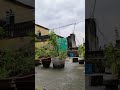 Monsoon Vibes 🌧️| #explorepage #newvlogger #minivlog #trywithyourownvoice #dhun #saiyaara #nature |