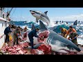 How fishermen catch millions of giant sharks, whales and hippos 🐋  Deep sea documentary