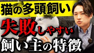 【頭以上猫を飼ってる方必見】猫の多頭飼育で失敗する理由はコレです。元ペットショップ店員が相性の合わせ方のコツを解説します