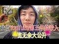 彻底揭秘！我做YouTube第三年的收入大公开！网络传言是真的吗？