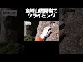 汗と恐怖の先に待つ景色 #climbing