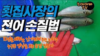 [전어 손질법 대공개!] 영상을 보는 순간 당신도 전어손질 전문가! [수아아빠TV]