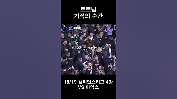 18/19 챔피언스리그 토트넘 기적의 순간