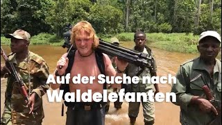 Auf der Suche nach den letzten Waldelefanten Zentralafrikas