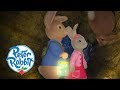 #StayHome Peter Rabbit - Searchlights | Cartoons for Kids