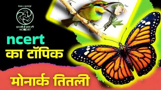 Predation Population Interactions Monarch Butterfly Is Highly Distasteful To Its Predators
