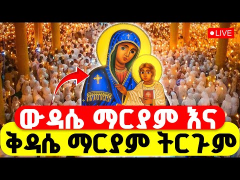 LIVE ፍልሰታ ውዳሴ ማርያም ትርጉም ቅዳሴ ማርያም ትርጉም ቀጥታ ከሜክሲኮ ልደታ 2ኛ ቀን