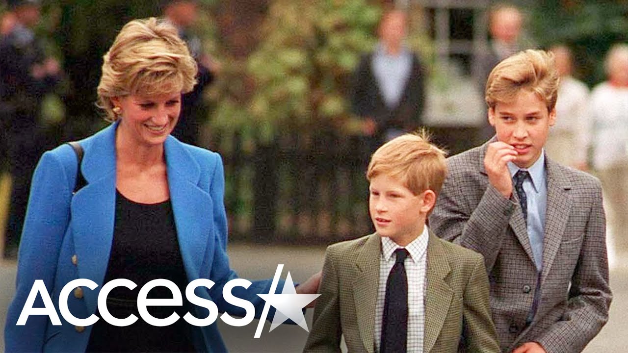 Prince Harry's Last Phone Call With Princess Diana