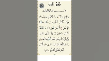 SURAH AT-TIN (سورة التين) - Egzon Ibrahimi #egzonibrahimi #surahattin #quran #surah #viralvideo #vir