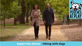 Hiking with your dog - Tips to keep your dog safe by Lara Shannon 51 views 3 years ago 2 minutes, 27 seconds