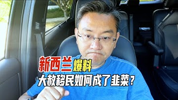 新西兰爆料,大赦移民成韭菜,海外不是天堂,中年移民务必三思