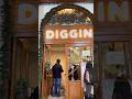 Diggin Cafe!!#youtube #shorts #cafe #aesthetic #cp #delhi #food #christmas #savana #fashion #GRWM