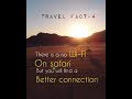Travel fact  4 subscribefor more and more