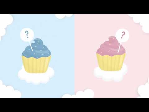 Gender Reveal Animated PowerPoint Template