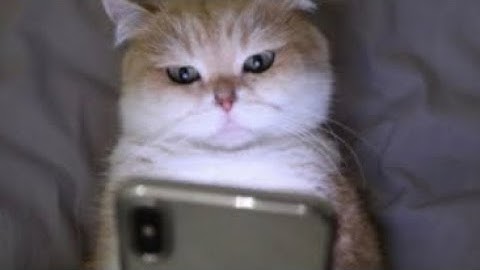 Kills (planetcraft/planet of cubes)