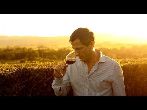 Видео: Signorello Winery - грандиозно място, което ще искате да видите