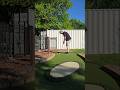 Craziest Putt You’ll Ever See 😱 #golf #minigolfing #minigolf